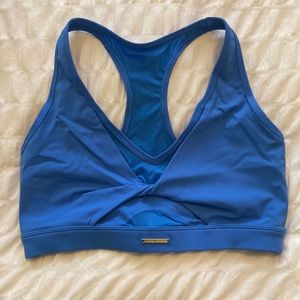 Whitney Simmons Mesh bra